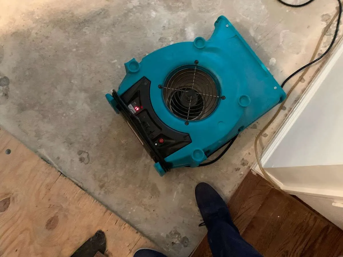 Air mover drying subfloor during Commercial Water Damage Restoration in Bremerton